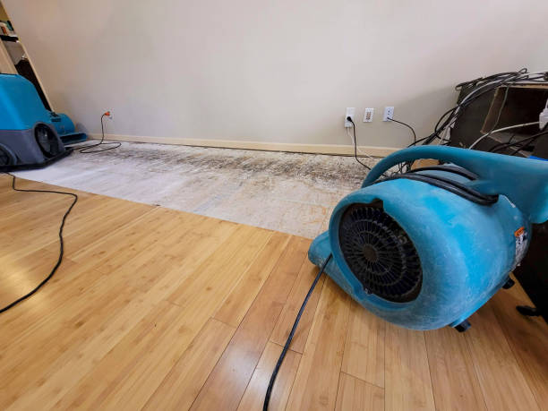 Professional Water Damage Repair technician working in Baden, MD